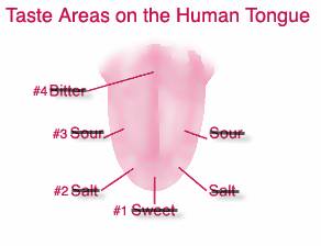 tongue map